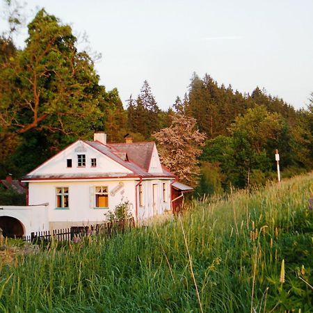 Вилла Rainmuehle Марианске-Лазне Экстерьер фото